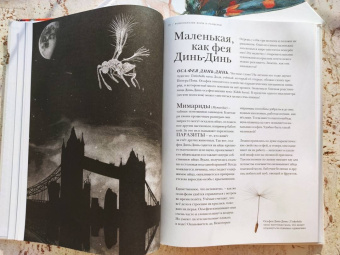 Барт Россел: Поразительные насекомые. Книга про подземных математиков, мастеров блефа, дружных кочевников, зомби