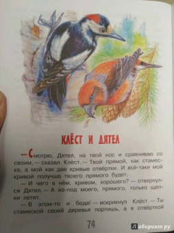 Николай Сладков: Сказки лесной опушки