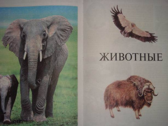 Большая детская энциклопедия для мальчиков