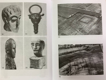 Стюарт Пиготт: Друиды. Поэты, ученые, прорицатели