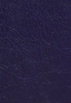 Дайдодзи, Сохо: Бусидо. Кодекс чести самурая