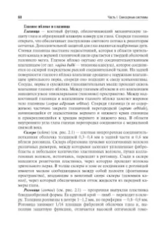 Смирнов, Умрюхин: Физиология сенсорных систем. Высшая нервная и психическая деятельность, поведение. Учебное пособие