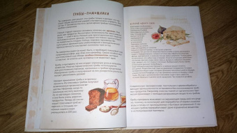 Михаил Вишневский: Грибы. Атлас-определитель