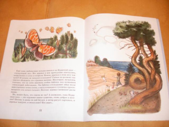 Ольга Велейко: Калининград:  там, где танцует лес