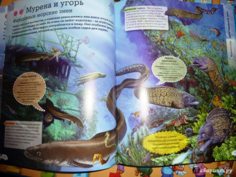 Кармен Родригес: Подводный мир. Иллюстрированная энциклопедия