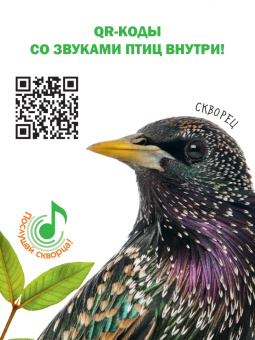 Мария Рахчеева: Птицы