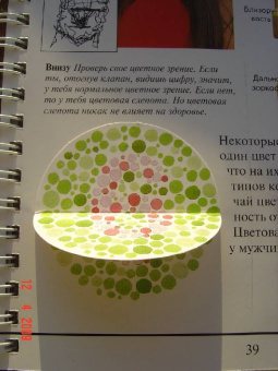 Грехам, Уолкер: Дискавери:  Анатомия человека