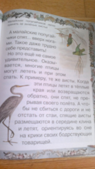 Валерий Роньшин: Птичьи секреты