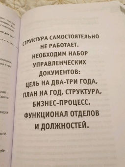 Денис Шешуков: Систематизация бизнеса по шагам. Планируй, контролируй, нанимай