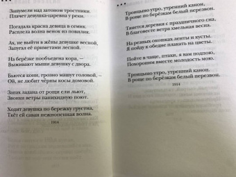 Сергей Есенин: Не жалею, не зову, не плачу...