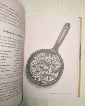 Роберт Хофрихтер: Грибы. Обитатели скрытого мира