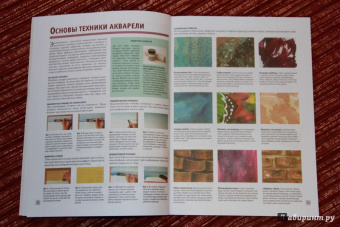 Лучшие уроки. Рисуем акварелью