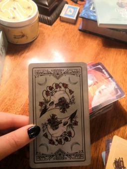 Эпплджон, Айрдейл, Кук: Ostara Tarot. Таро Остары (78 карт и руководство для гадания в подарочном оформлении)