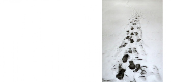 Аркадий Ипполитов: Winterreise. Сентиментальная сюита