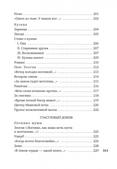 Владислав Ходасевич: Звездный ход