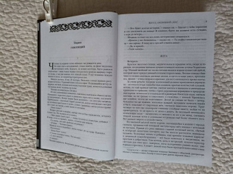 Дмитрий Скирюк: Жуга. Осенний лис