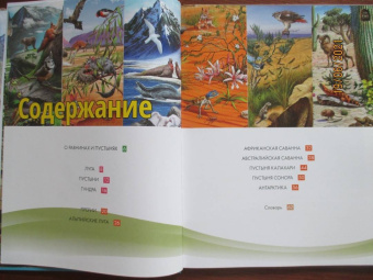Жизнь животных. От тундры до пустыни