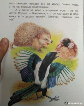 Николай Сладков: Сказки лесной опушки