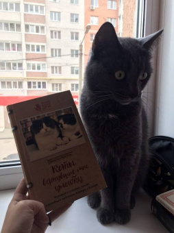 Лоу, Рогак: Коты, вернувшие мне улыбку. История о счастье, книгах и всеобщих любимцах Бейкере и Тейлоре
