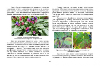 Ковешников, Силаева, Ковешников: Колористика в садово-парковом и ландшафтном строительстве. Учебное пособие