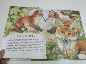 Николай Сладков: Бюро лесных услуг