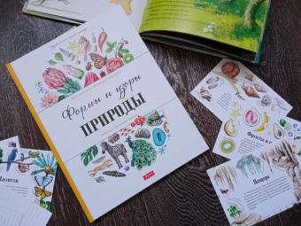 Седлачкова, Секанинова: Формы и узоры природы