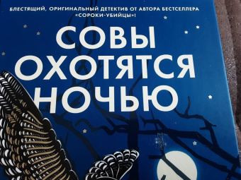 Энтони Горовиц: Совы охотятся ночью