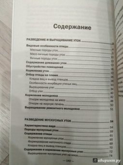 Разведение и выращивание уток, индоуток и гусей обычных пород и бройлеров