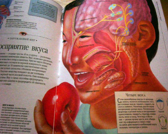 Большая энциклопедия эрудита