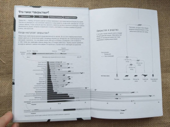 Наттерсон-Горовиц, Бауэрс: Зверьство. Драматическое путешествие из подросткового возраста во взрослую жизнь