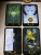 Рейвенн Фелан: Dreams of Gaia Tarot. Мечты о богине Земли. Таро, 81 карта и руководство по работе с колодой Рейвенн Фелан: Dreams of Gaia Tarot. Мечты о богине Земли. Таро, 81 карта и руководство по работе с колодой