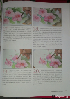 Либралато, Лаптева: Рисуем цветы. Пошаговый самоучитель по рисованию акварелью