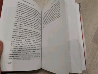 Гис, Гис: Жизнь в средневековом замке