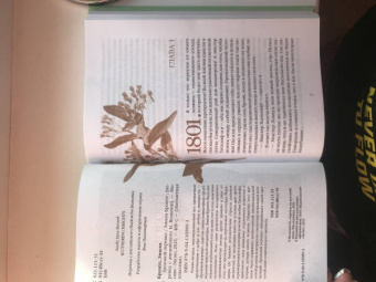 Эмили Бронте: Грозовой перевал