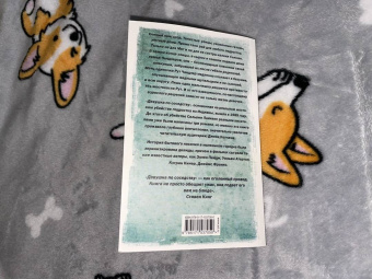 Джек Кетчам: Девушка по соседству