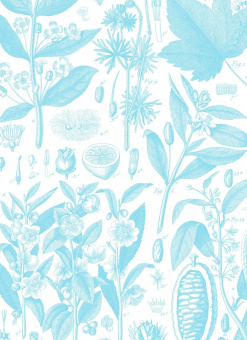 Дэнни Пенман: Искусство дыхания. Секрет осознанной жизни