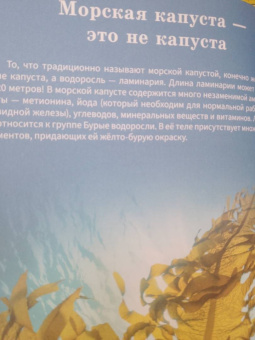 Максим Филатов: Растения. Самая умная энциклопедия