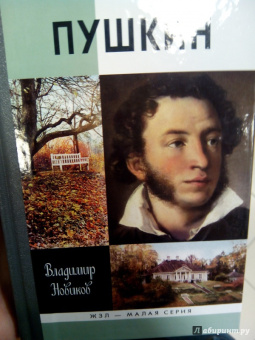 Владимир Новиков: Пушкин
