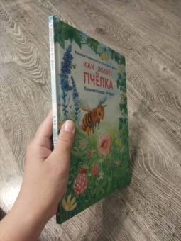 Фридерун Райхенштеттер: Как живёт пчёлка. Познавательные истории