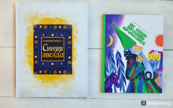 Софья Прокофьева: Не буду просить прощения