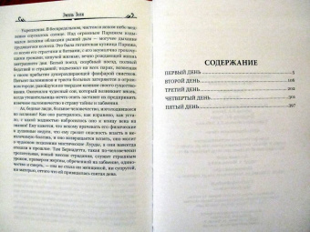 Эмиль Золя: Лурд