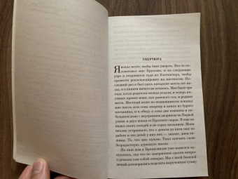 Пол Остер: Бруклинские глупости