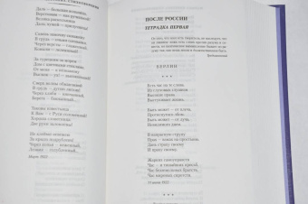 Марина Цветаева: Волшебный фонарь