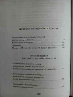 Александр Кайдановский: Чужой среди своих