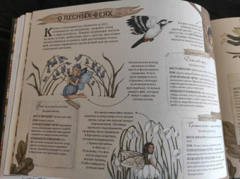 Секретная жизнь фей