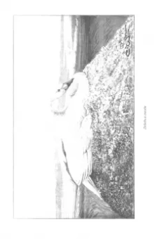 Обин Тревор-Бетти: Во льдах и снегах. Дневник путешествия на остров Колгуев