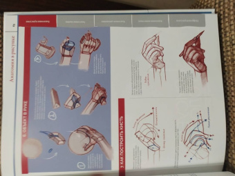 ImagineFX: Анатомия. Создание реалистичных людей и животных + мастер-классы по QR-коду