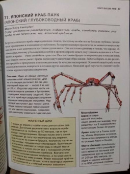 Михаил Куценко: Подводный мир. Большая иллюстрированная энциклопедия