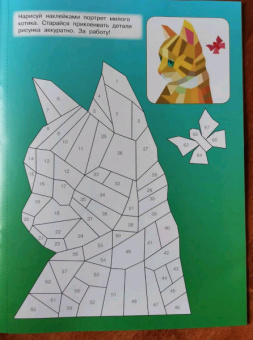 Котята и кошки