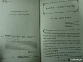 Артем Веселый: Россия, кровью умытая